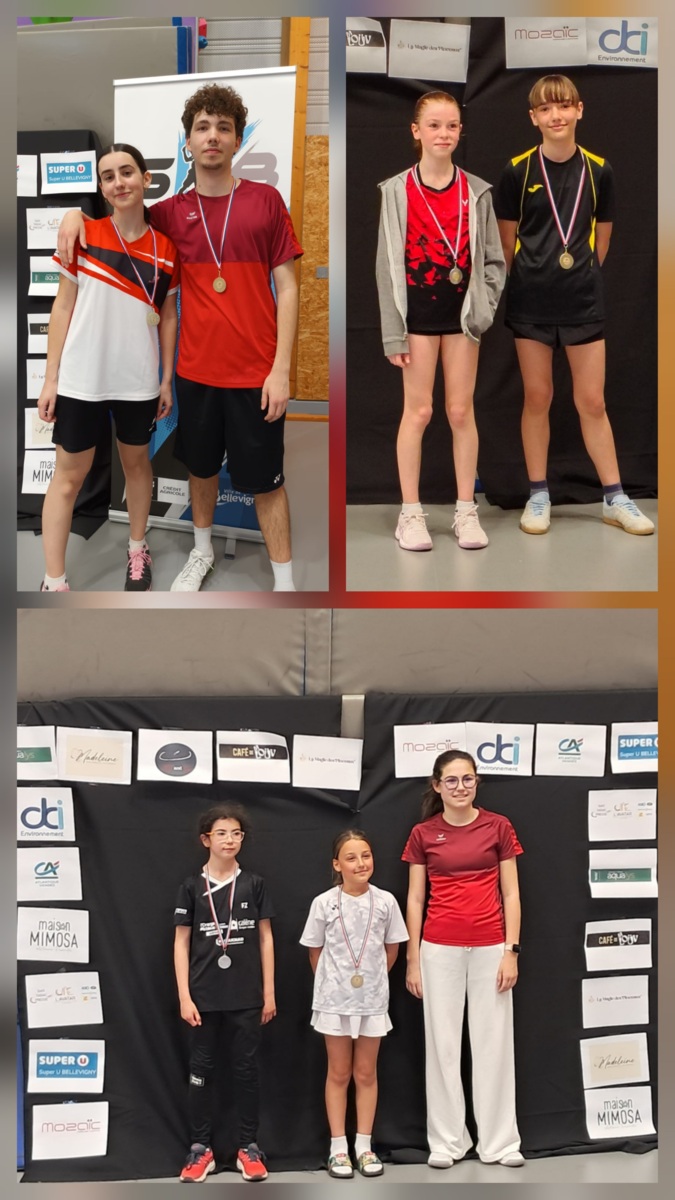 TDJ8 - Fontenay Badminton Club