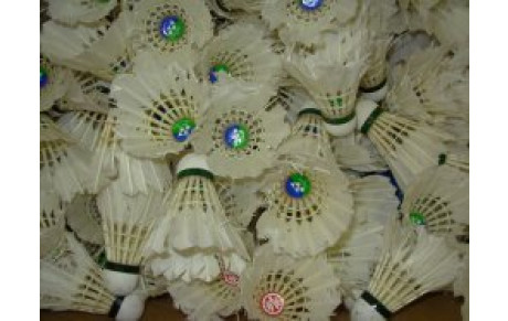 STAGE CODEP A FONTENAY des 23-24 et 25 octobre 